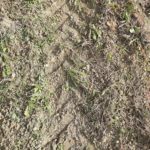 Soc. Agr. YesiFood - Minima lavorazione