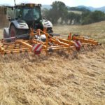 Soc. Agr. Terre Verdi - Passaggio con strigliatore