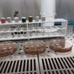 Analisi microbiologiche