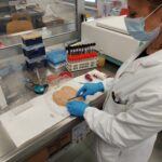 Preparazione del campione di petto di pollo in laboratorio, per valutare i profili di sensibilità agli antibiotici dei ceppi di E. coli isolati dalla superficie dei petti