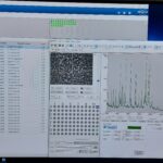 Identificazione dei ceppi isolati, tramite MALDI-TOF (strumento di spettrometria di massa in grado di identificare in pochi secondi la specie batterica)