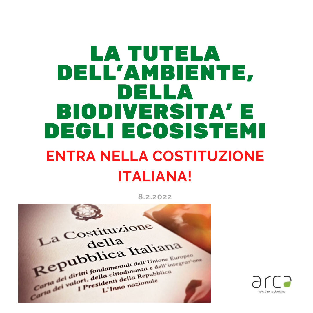 Ambiente il Costituzione