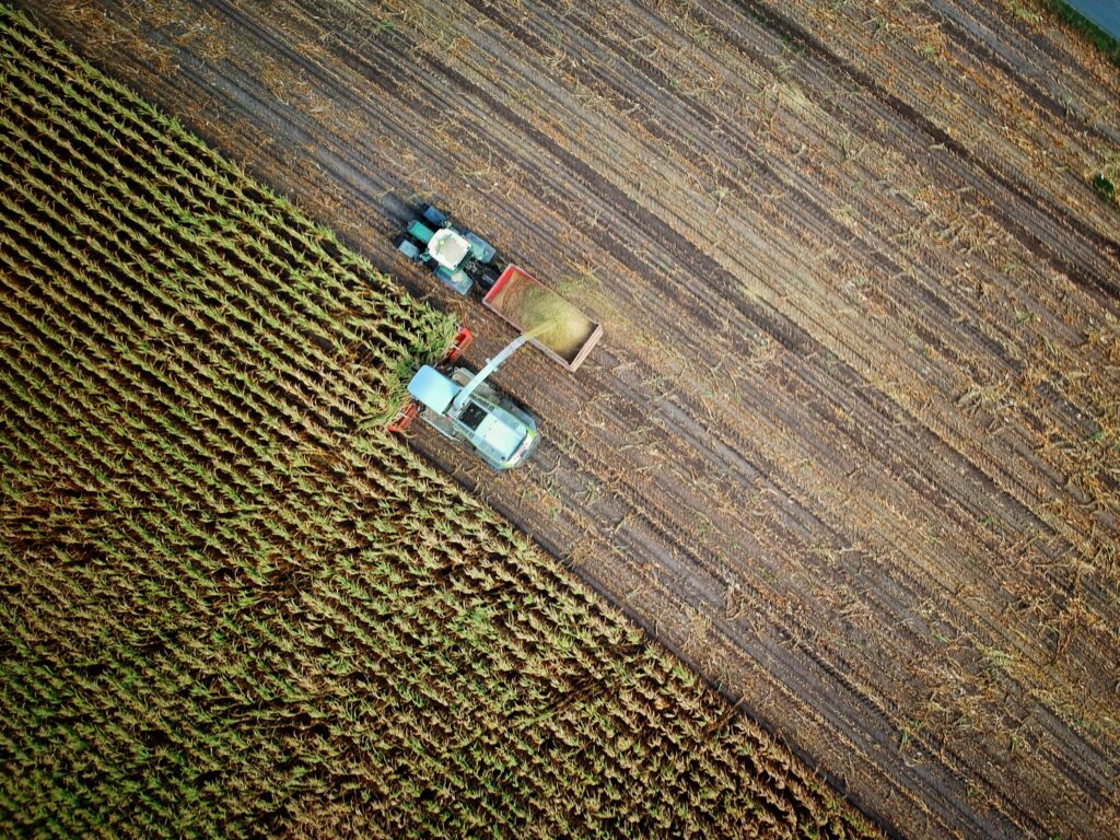 Agricoltura intensiva