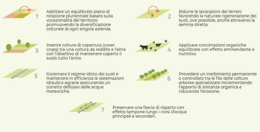 Organic Regenerative Soil System