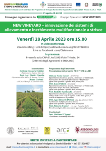 new vineyard