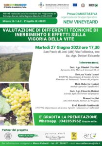 new vineyard